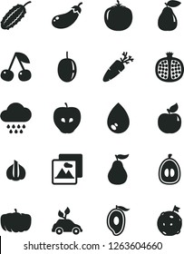 Solid Black Vector Icon Set - cloud vector, picture, drop, carrot, cherry, half pomegranate, pear, apricot, tasty apple, of mango, loquat, passion fruit, ripe guava, persimmon, garlic, cucumber