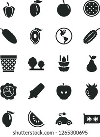Solid Black Vector Icon Set - wicker pot vector, cucumber, pear, mint, squash, tasty apple, strawberry, slice of water melon, mango, half, ripe plum, passion fruit, pepper, planet Earth, trees