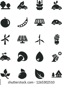 Solid Black Vector Icon Set - saving light bulb vector, drop, porcini, mint, tangerine, yellow lemon, peas, solar panel, big, leaves, leaf, windmill, wind energy, trees, eco car, electric, sun