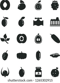 Solid Black Vector Icon Set - slices of onion vector, cucumber, jar jam, half apricot, blackberry, mulberry, tasty, peach, date fruit, loquat, lemon, yellow, sour lime, guawa, physalis, pumpkin