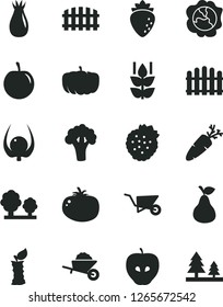 Solid Black Vector Icon Set - garden trolley vector, building, fence, hedge, tomato, carrot, strawberries, pear, mint, squash, tasty apple, raspberry, rose hip, plum, physalis, stub, broccoli, trees