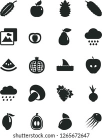 Solid Black Vector Icon Set - cloud vector, rainy, picture, porcini, cucumber, beet, half pomegranate, branch of grape, pear, apricot, tasty apple, mango, loquat, yellow lemon, ripe pineapple