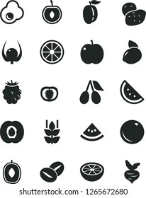 Solid Black Vector Icon Set - coffee beans vector, fried egg, orange slice, mint, apple, half apricot, cornels, blackberry, delicious plum, ripe, cherry, yellow lemon, juicy, of grapefruit, physalis