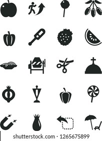 Solid Black Vector Icon Set - electronic thermometer vector e, concrete mixer, move left, slices of onion, Chupa Chups, lollipop, strawberries, apple, rose hip, half medlar, slice water melon, ripe
