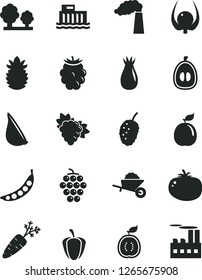 Solid Black Vector Icon Set - garden trolley vector, tomato, garlic, branch of grape, large, rose hip, blackberry, tasty mulberry, half loquat, guava, guawa, ripe pineapple, physalis, pepper, carrot