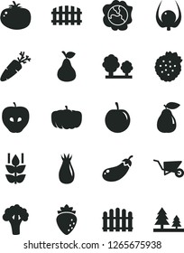 Solid Black Vector Icon Set - building trolley vector, fence, hedge, tomato, carrot, strawberries, pear, mint, squash, tasty apple, raspberry, rose hip, plum, physalis, broccoli, eggplant, pumpkin