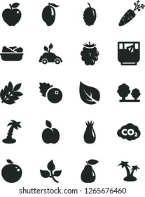 Solid Black Vector Icon Set - lettuce in a plate vector, glass of tea, blueberries, apple, pear, red, rose hip, blackberry, mulberry, mango, delicious, carrot, leaves, leaf, trees, carbon dyoxide