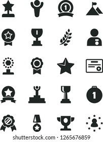 Solid Black Vector Icon Set - star vector, medal, winner, laurel branch, podium, prize, award, cup, gold, reward, man with, mountain flag, first place, ribbon, certificate, stars around
