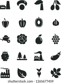Solid Black Vector Icon Set - garden trolley vector, large grape, squash, cornels, blackberry, delicious plum, guava, Bell pepper, ripe, garlic, mashroom, eggplant, radish, leaf, manufacture, forest