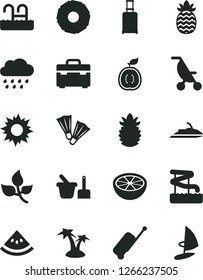Solid Black Vector Icon Set - summer stroller vector, rainy cloud, toy sand set, suitcase, half of guawa, ripe pineapple, slice, grapefruit, water melon, leaves, rolling, case, sun, palm tree, pool