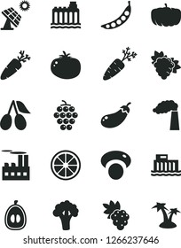 Solid Black Vector Icon Set - tomato vector, carrot, grape, branch of, large, cornels, half loquat, juicy lemon, peas, mashroom, broccoli, eggplant, pumpkin, big solar panel, manufacture, palm tree