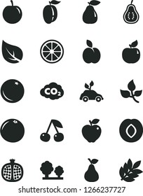 Solid Black Vector Icon Set - apple vector, pear, orange, cherry, half pomegranate, apricot, red, plum, ripe, tasty, juicy lemon, grapefruit, part of guava, leaves, leaf, trees, carbon dyoxide