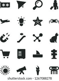 Solid Black Vector Icon Set - gpu card vector, telescope, molecule, zoom, bulb, magnet, resistor, flame torch, plane, hang glider, escalator, passenger, sun, starfish, pets, safe, cart, signpost