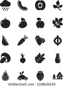 Solid Black Vector Icon Set - cloud vector, porcini, beet, garlic, carrot, peach, half apricot, branch of grape, rose hip, medlar, tasty raspberry, slice melon, yellow lemon, part guava, persimmon