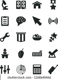 Solid Black Vector Icon Set - home vector, a plate of fruit, tasty mulberry, keyboard, pc speaker, wireless, repair, cursor, microscope, brain, settings, clipboard, calculator, radar, hero medal