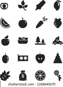 Solid Black Vector Icon Set - stacking toy vector, lettuce in a plate, apricot, tasty apple, strawberry, slice of water melon, mango, plum, passion fruit, lemon, half tomato, carrot, leaves, forest