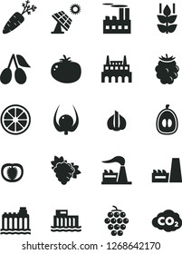 Solid Black Vector Icon Set - tomato vector, mint, branch of grape, large, cornels, blackberry, half loquat, juicy lemon, physalis, garlic, carrot, big solar panel, factory, hydroelectric station