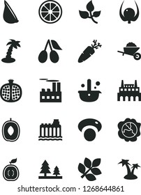 Solid Black Vector Icon Set - garden trolley vector, garlic, carrot, half pomegranate, squash, cornels, delicious plum, juicy lemon, of guawa, physalis, mashroom, leaves, hydroelectricity, forest