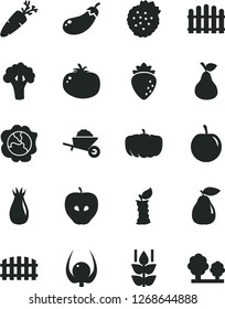 Solid Black Vector Icon Set - garden trolley vector, fence, hedge, tomato, carrot, strawberries, pear, mint, squash, tasty apple, raspberry, rose hip, plum, physalis, stub, broccoli, eggplant, trees
