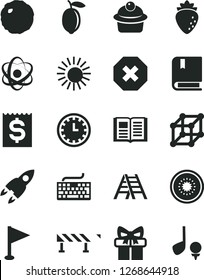 Solid Black Vector Icon Set - Mark Of Injury Vector, Clock Face, Keyboard, Pennant, E, Ladder, Road Fence, Book, Muffin, Cabbage, Raspberry, Lemon, Half Kiwi, Financial Item, Gift, Atom, Rocket, Sun