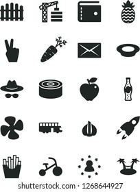 Solid Black Vector Icon Set - purse vector, hat with glasses, tricycle, tower crane, hedge, canned goods, a plate of milk, French fries, bottle soda, red apple, pineapple, garlic, carrot, fan screw