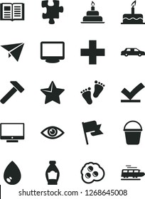 Solid Black Vector Icon Set - plus vector, footprints, cake, birthday, Puzzle, bucket, hammer, star, eye, book, drop, flag, screen, omelette, bottle, monitor, vote check, paper plane, limousine