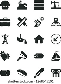 Solid Black Vector Icon Set - mercury thermometer vector, paint roller, suitcase, writing accessories, left bottom arrow, map, sausage, cake, japanese sushi, branch of grape, big solar panel, pipe