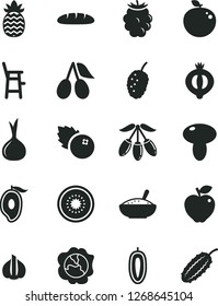 Solid Black Vector Icon Set - a chair for feeding child vector, loaf, mushroom, bowl of rice porridge, blueberries, squash, red apple, cornels, half medlar, blackberry, tasty mulberry, mango, kiwi