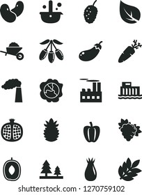 Solid Black Vector Icon Set - garden trolley vector, carrot, half pomegranate, branch of grape, squash, rose hip, tasty mulberry, goji berry, delicious plum, ripe pineapple, Bell pepper, beans, leaf