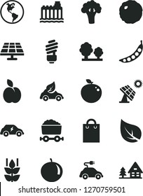 Solid Black Vector Icon Set - saving light bulb vector, cabbage, apple, mint, tangerine, delicious, peas, broccoli, solar panel, big, leaf, planet Earth, hydroelectricity, trees, eco car, electric