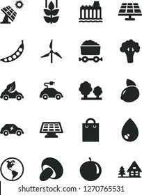 Solid Black Vector Icon Set - drop vector, porcini, mint, tangerine, yellow lemon, peas, broccoli, solar panel, big, windmill, planet Earth, hydroelectricity, trees, eco car, electric, transport