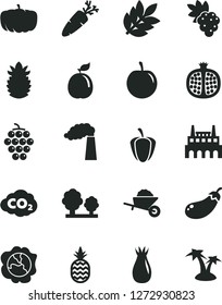 Solid Black Vector Icon Set - garden trolley vector, carrot, a pineapple, half pomegranate, grape, large, squash, rose hip, tasty plum, guava, ripe, pepper, eggplant, pumpkin, manufacture, trees