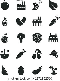 Solid Black Vector Icon Set - garden trolley vector, garlic, carrot, a pineapple, squash, cornels, tasty plum, half of guawa, ripe, beans, broccoli, eggplant, big solar panel, leaf, factory