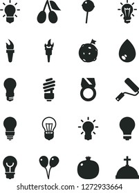 Solid Black Vector Icon Set - matte light bulb vector, colored air balloons, new roller, saving, drop, Chupa Chups, pomegranate, cornels, flame torch, flag on moon, gold ring, crown with cross