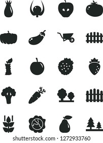 Solid Black Vector Icon Set - building trolley vector, fence, hedge, tomato, carrot, strawberries, mint, squash, pear, tasty apple, raspberry, rose hip, plum, physalis, stub, broccoli, eggplant