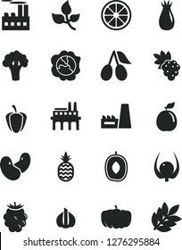 Solid Black Vector Icon Set - a pineapple vector, grape, squash, rose hip, cornels, blackberry, delicious plum, juicy lemon, guava, physalis, ripe pepper, garlic, beans, broccoli, pumpkin, leaves