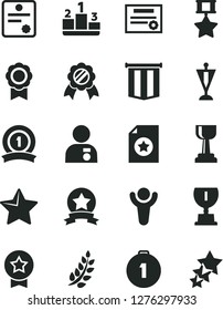 Solid Black Vector Icon Set - star vector, pedestal, medal, patente, winner, laurel branch, award, gold cup, man with, pennant, first place, ribbon, hero, certificate, flag, three stars