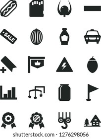 Solid Black Vector Icon Set - danger of electricity vector, add bookmark, minus, pennant, negative histogram, toys over the cot, winch hook, car, Hot Dog, bottle, melon, tamarillo, physalis, jar