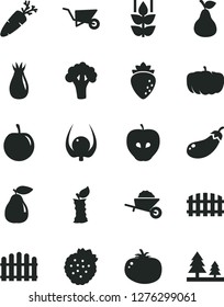 Solid Black Vector Icon Set - garden trolley vector, building, fence, hedge, tomato, carrot, strawberries, pear, mint, tasty apple, raspberry, rose hip, plum, physalis, stub, broccoli, eggplant