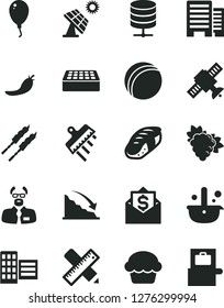 Solid Black Vector Icon Set - bath ball vector, balloon, buildings, city block, writing accessories, brick, spatula, big data server, cake, barbecue, sushi, branch of grape, red pepper, solar panel