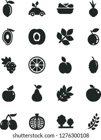 Solid Black Vector Icon Set - lettuce in a plate vector, beet, apple, pear, half apricot, pomegranate, grape, blueberry, mulberry, tasty cornels, of mango, lemon, juicy, delicious, trees, biology