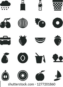 Solid Black Vector Icon Set - wicker pot vector, rainy cloud, children's sand set, suitcase, bottle of soda, blueberries, ripe peach, pear, plum, raspberry, strawberry, tasty cornels, water melon