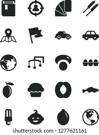 Solid Black Vector Icon Set - book vector, toys over the cot, motor vehicle, funny hairdo, sample of colour, map, flag, bundle eggs, cake, barbecue, small fish, half peach, lemon, lime, mashroom