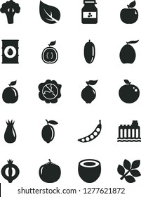 Solid Black Vector Icon Set - jar of jam vector, squash, quince, apricot, rose hip, half medlar, loquat, date fruit, lemon, delicious apple, guava, guawa, coconut, persimmon, peas, broccoli, leaf