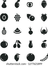 Solid Black Vector Icon Set - beet vector, blueberries, a pineapple, pear, orange, large grape, plum, raspberry, strawberry, rose hip, cornels, blueberry, mango, tangerine, sour lime, grapefruit