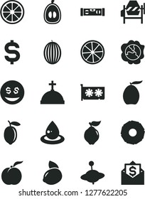 Solid Black Vector Icon Set - yule vector, concrete mixer, building level, ripe peach, squash, quince, melon, loquat, half, lemon, yellow, juicy, slice of, pineapple, drop oil, gpu card, eyes