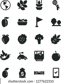 Solid Black Vector Icon Set - pennant vector, building level, lettuce in a plate, glass of tea, strawberries, mint, strawberry, ripe plum, tasty, sour lime, hot pepper, broccoli, planet Earth, trees
