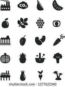 Solid Black Vector Icon Set - garlic vector, half pomegranate, large grape, rose hip, tasty mulberry, slice of tangerine, guava, ripe pineapple, tomato, carrot, beans, broccoli, radish, enterprise