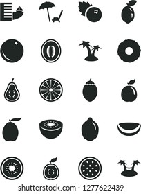 Solid Black Vector Icon Set - blueberries vector, orange, loquat, half melon, lime, kiwi, of, passion fruit, tamarillo, sour, guava, guawa, piece coconut, slice pineapple, part, hotel, palm tree