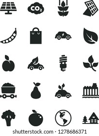 Solid Black Vector Icon Set - apple vector, pear, mint, delicious, peas, broccoli, solar panel, leaves, leaf, planet Earth, hydroelectricity, energy saving bulb, eco car, electric, carbon dyoxide